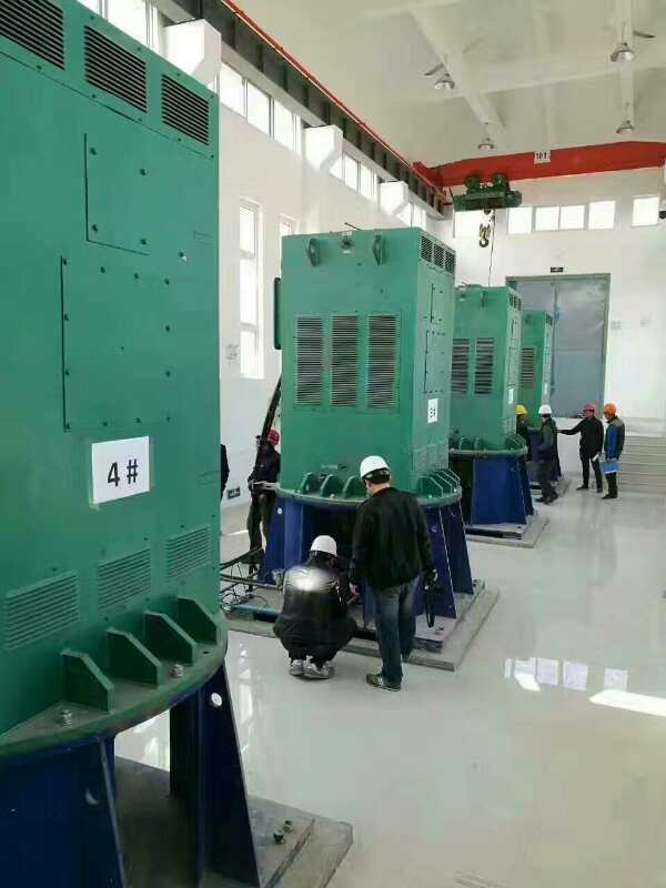 张沟镇某污水处理厂使用我厂的立式高压电机安装现场
